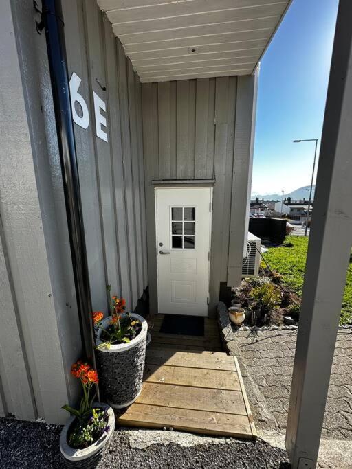Basement Apartment With Parking Ålesund Exteriör bild